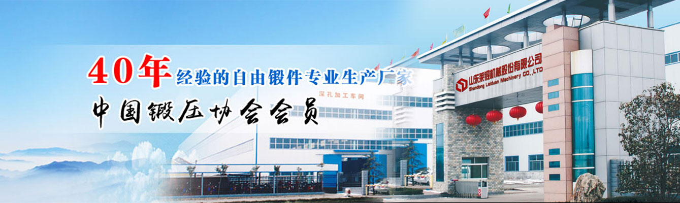 專業的鋼絲繩生產廠家